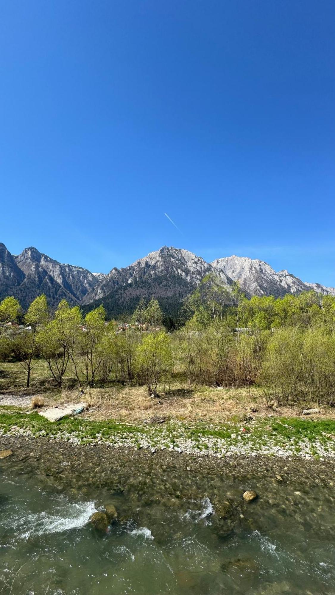 Busteni Mountain View Suites By The River - Ev Plug Exterior foto