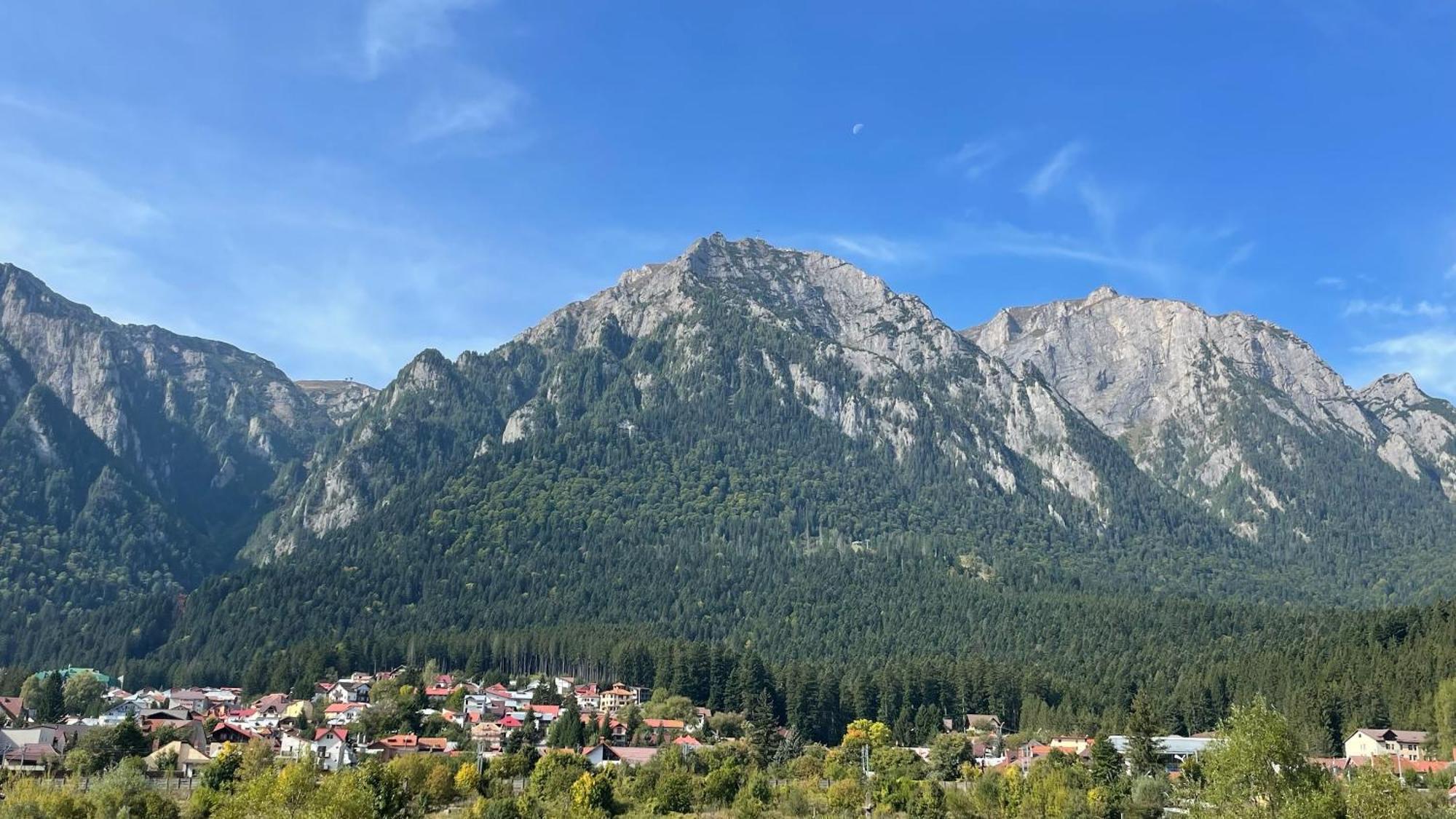 Busteni Mountain View Suites By The River - Ev Plug Exterior foto